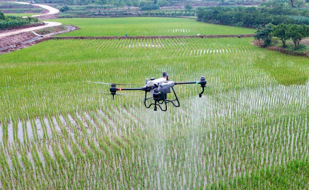 Les essais par drone permettent de cibler les herbicides et d’améliorer la qualité de l’eau.